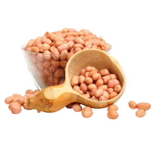 حَب البندق