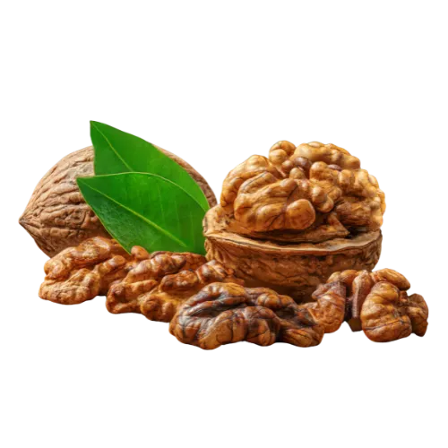 جوز